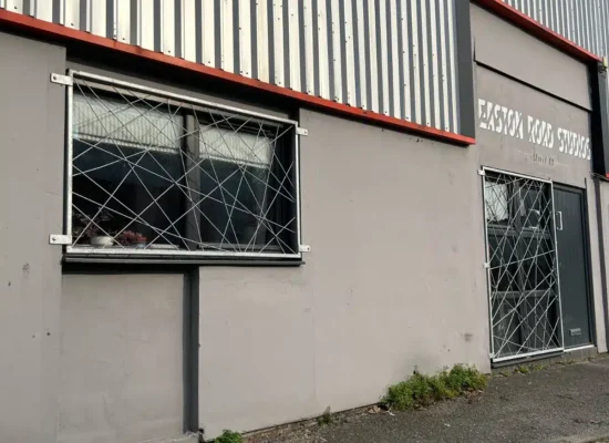 shop window security